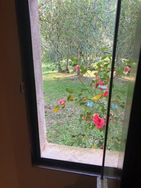 Agriturismo La Pieve Colle Val D'Elsa Zewnętrze zdjęcie