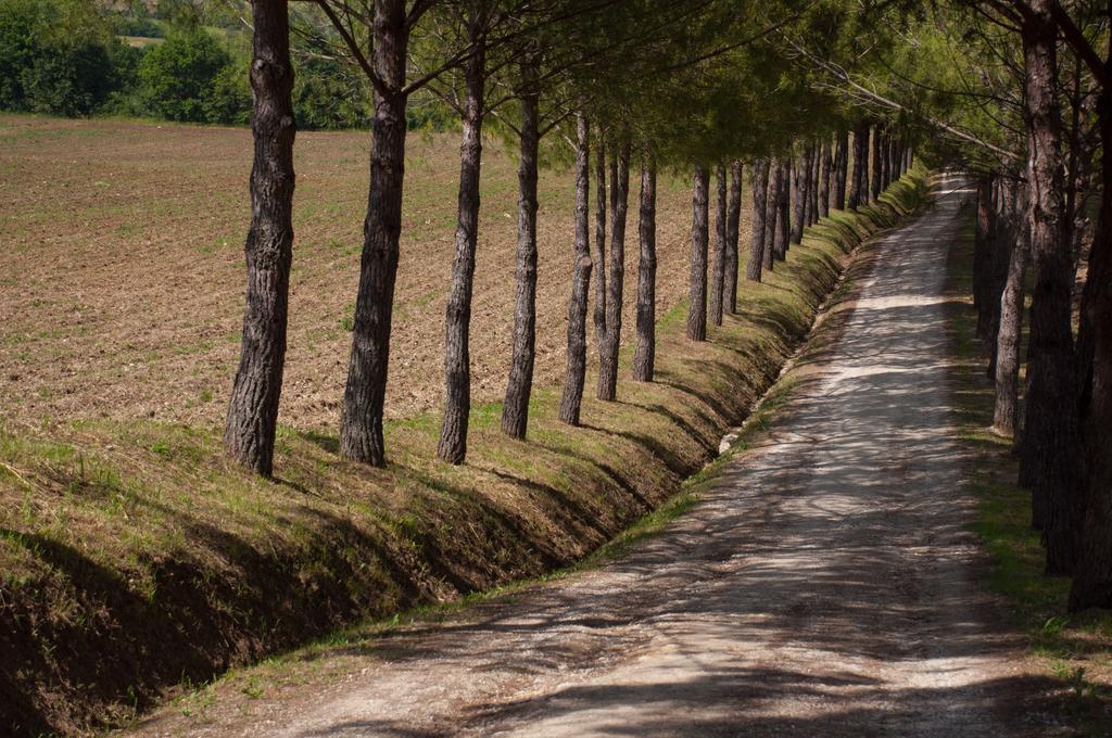 Agriturismo La Pieve Colle Val D'Elsa Zewnętrze zdjęcie