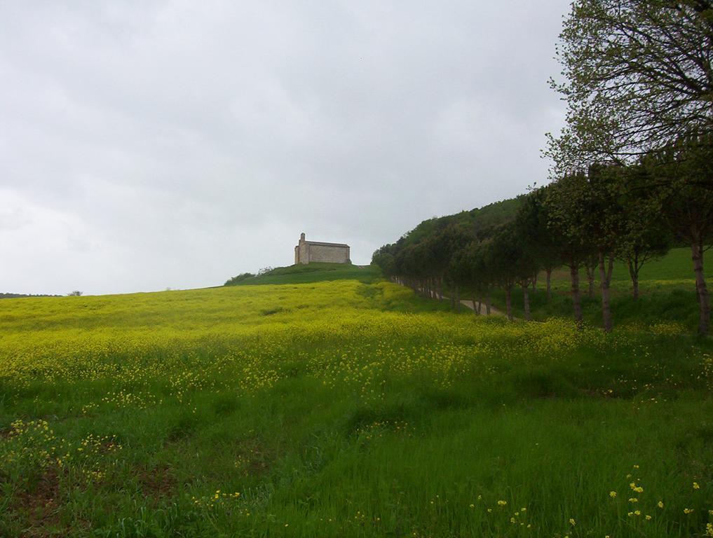 Agriturismo La Pieve Colle Val D'Elsa Zewnętrze zdjęcie