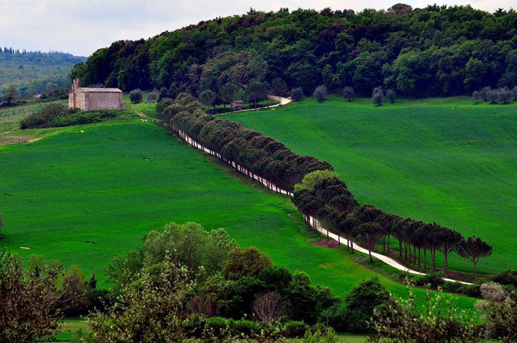 Agriturismo La Pieve Colle Val D'Elsa Zewnętrze zdjęcie