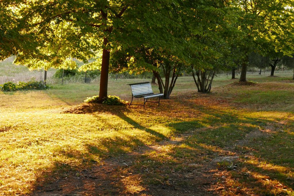 Agriturismo La Pieve Colle Val D'Elsa Zewnętrze zdjęcie